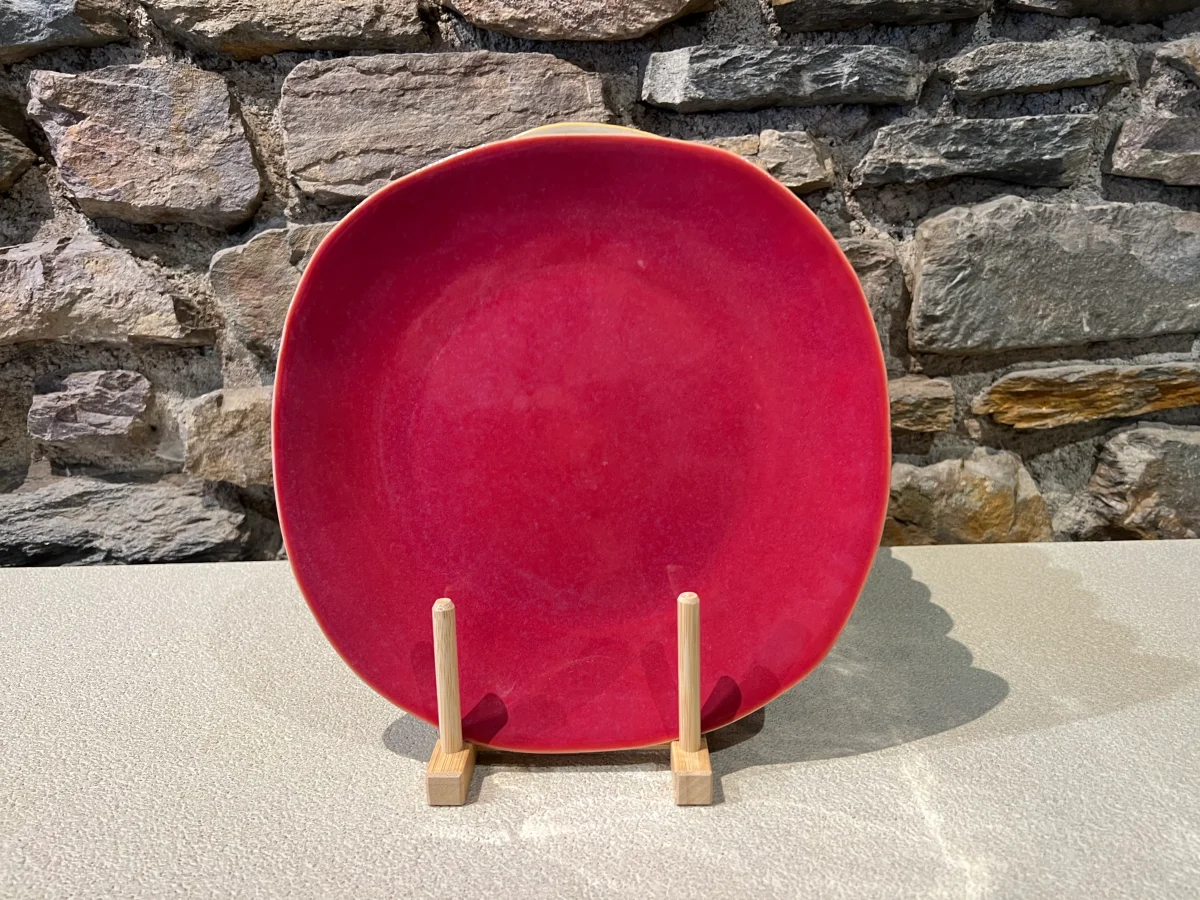 Set de 6 Assiettes Plate en Grès D.27 cm Organica - Gresnovo – Image 8