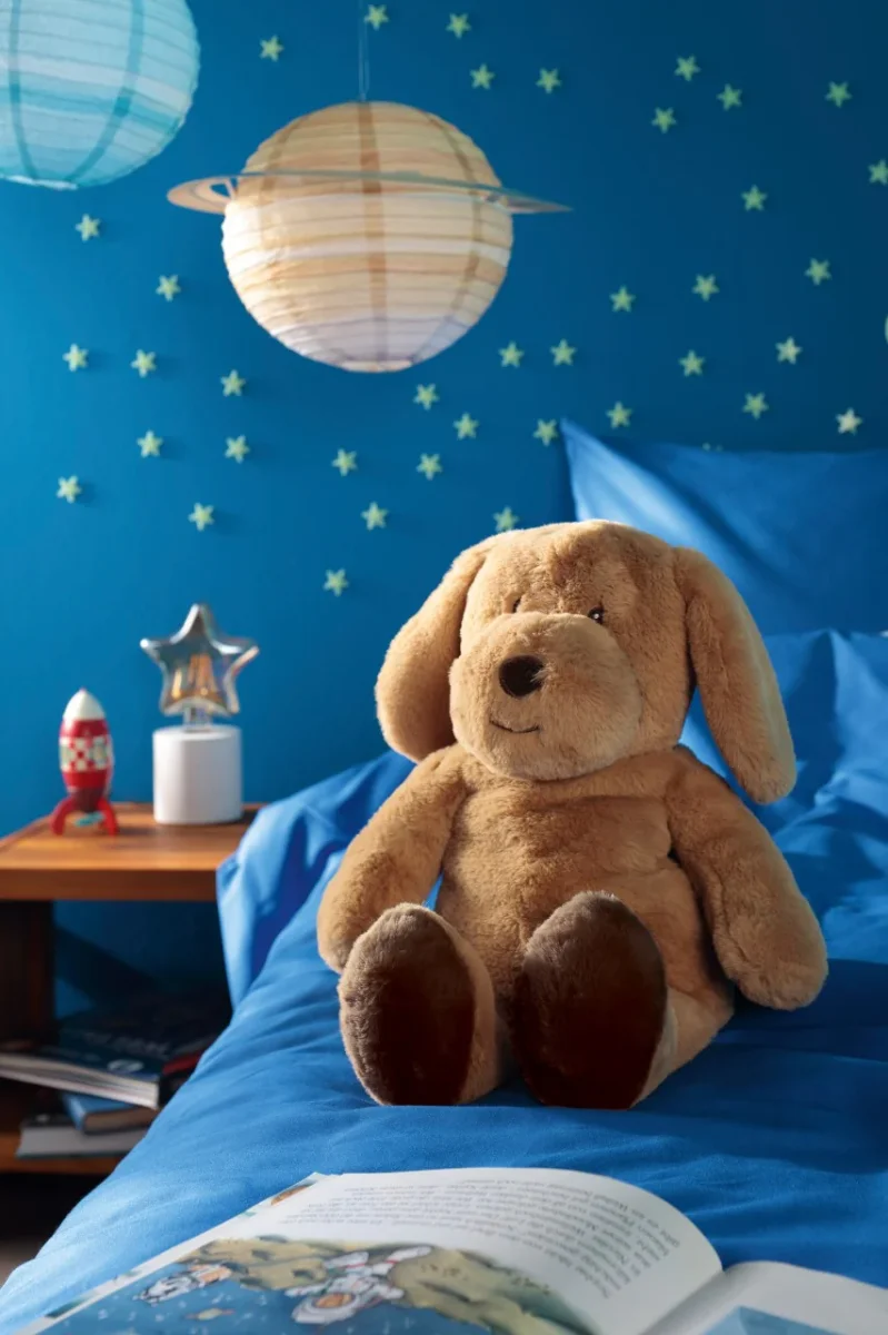 Peluche Plaid Intégré Doudou 75x100 cm Dream Team Set - Biederlack – Image 7